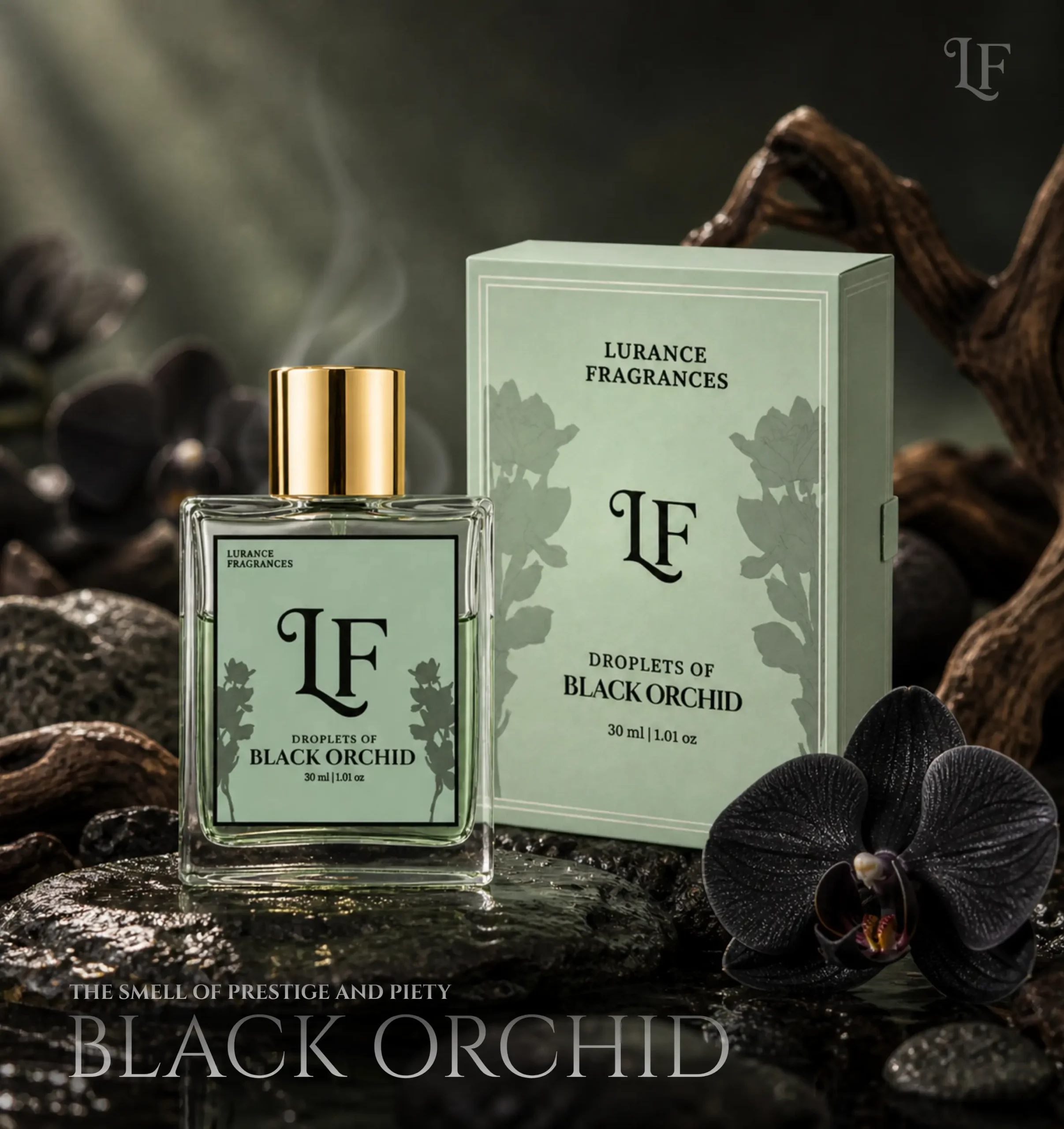 count 12 black orchiud
